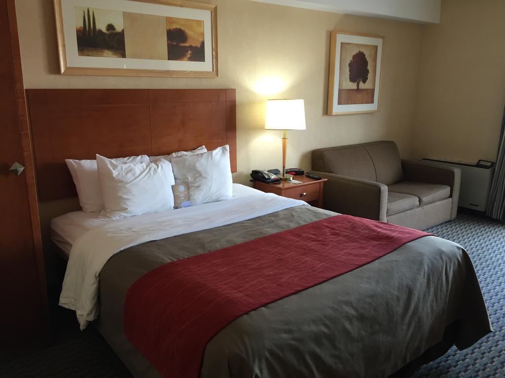 Comfort Inn Airport West Mississauga Buitenkant foto