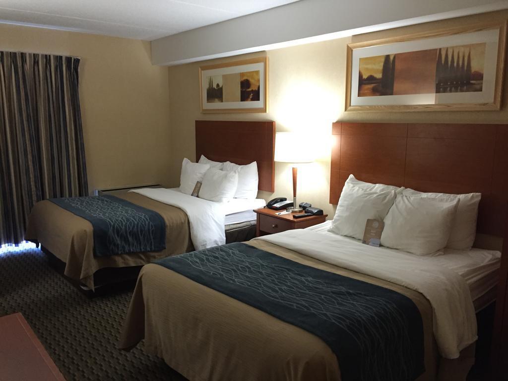 Comfort Inn Airport West Mississauga Buitenkant foto