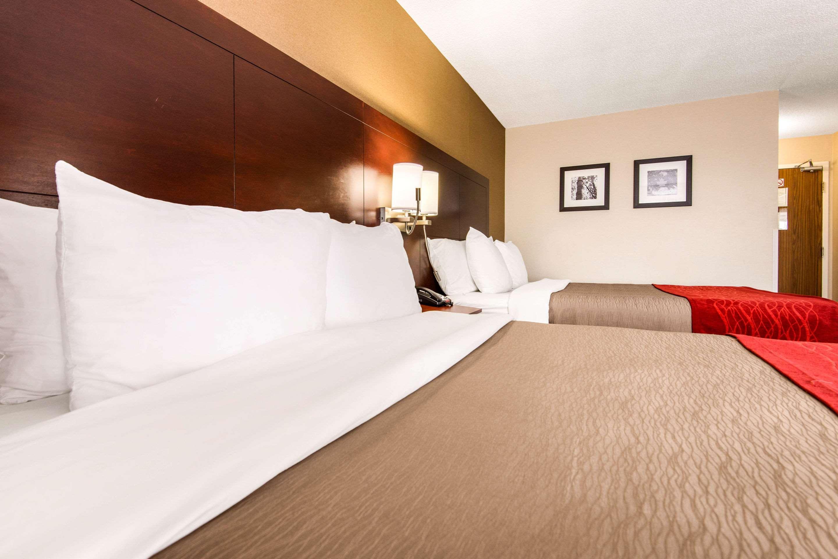 Comfort Inn Airport West Mississauga Buitenkant foto